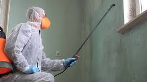 Professional Mold Prevention & Removal  in Allendale, CA