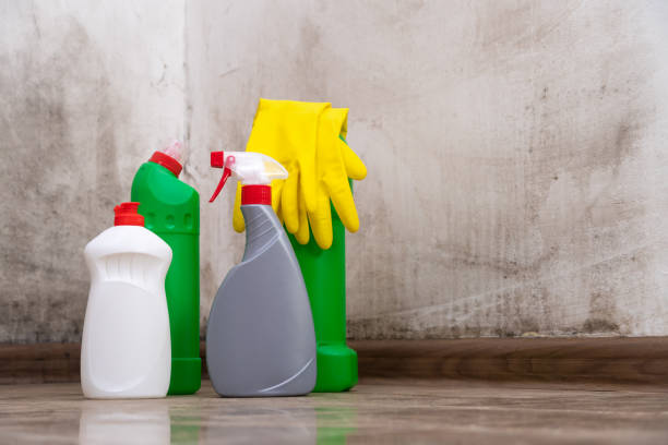 Why You Should Choose Our Mold Remediation Services in Allendale, CA